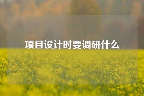 项目设计时要调研什么