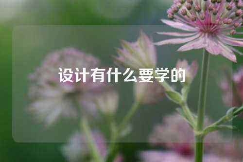 设计有什么要学的