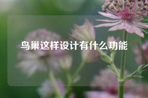 鸟巢这样设计有什么功能