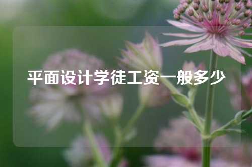 平面设计学徒工资一般多少