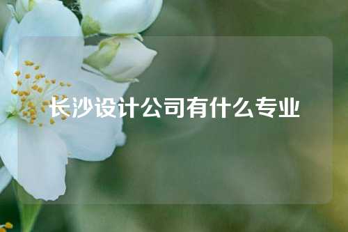 长沙设计公司有什么专业