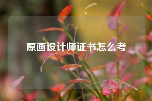 原画设计师证书怎么考