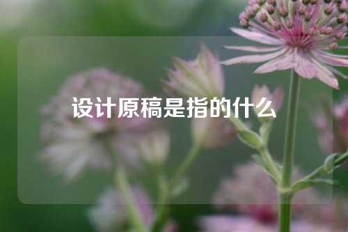 设计原稿是指的什么