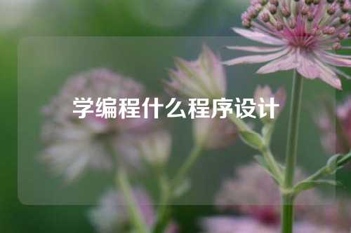 学编程什么程序设计