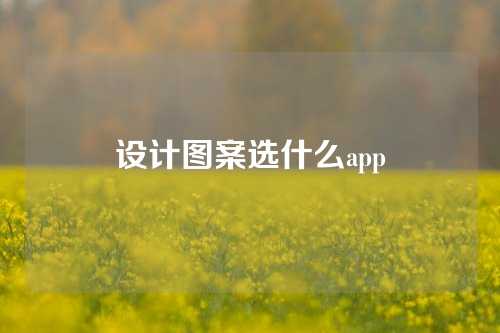 设计图案选什么app