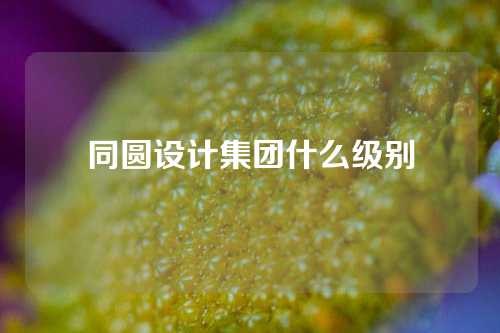 同圆设计集团什么级别