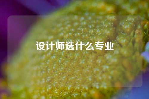 设计师选什么专业