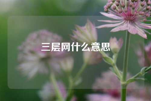 三层网什么意思