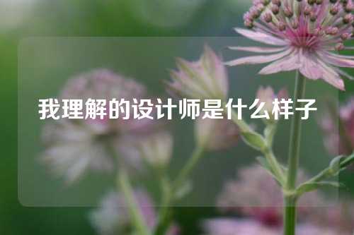 我理解的设计师是什么样子