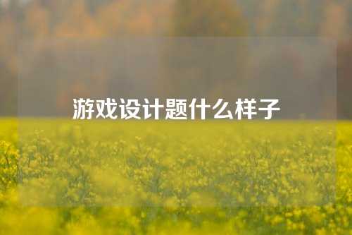 游戏设计题什么样子