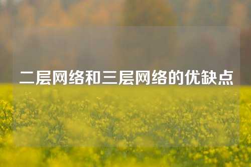 二层网络和三层网络的优缺点