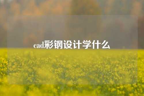 cad彩钢设计学什么