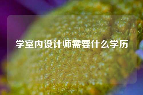 学室内设计师需要什么学历