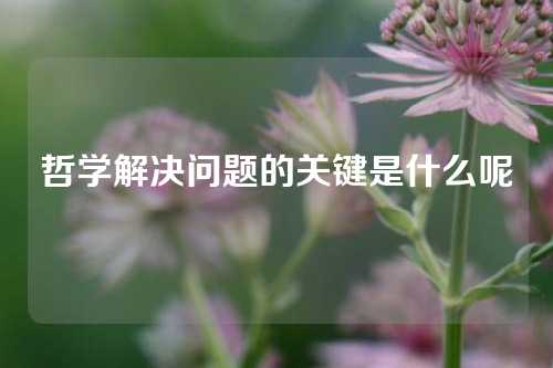 哲学解决问题的关键是什么呢