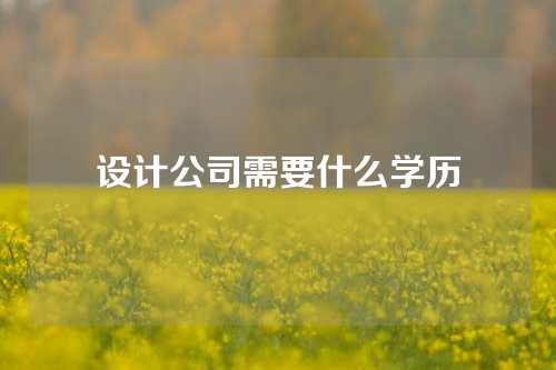 设计公司需要什么学历