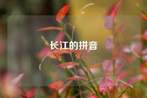 长江的拼音