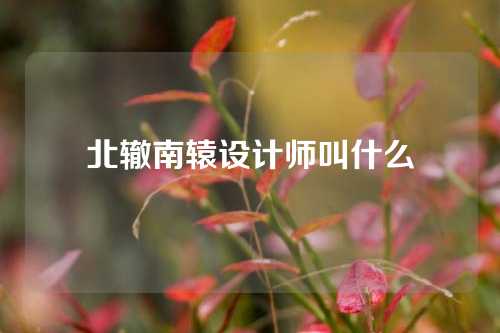 北辙南辕设计师叫什么