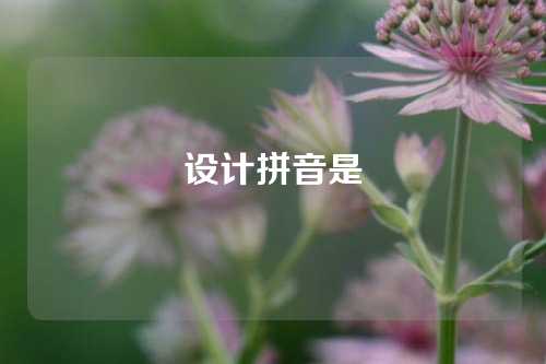 设计拼音是