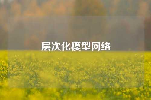 层次化模型网络