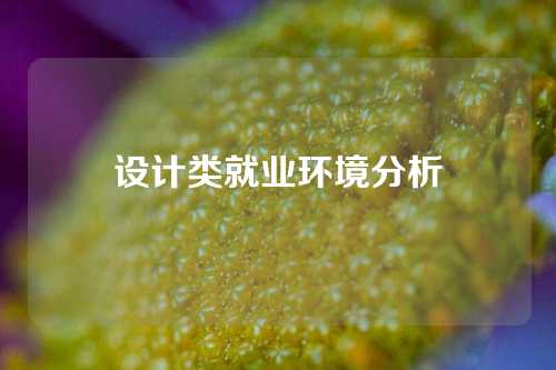 设计类就业环境分析