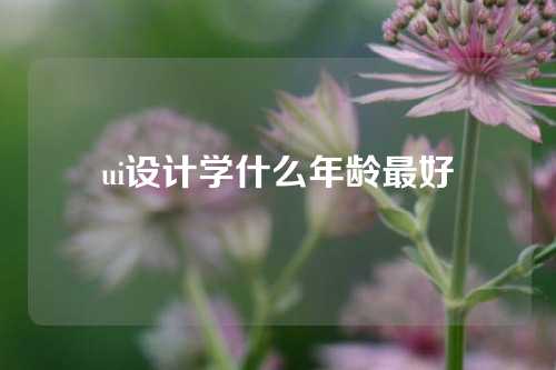 ui设计学什么年龄最好