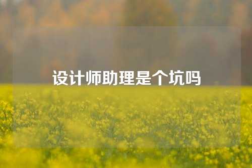 设计师助理是个坑吗