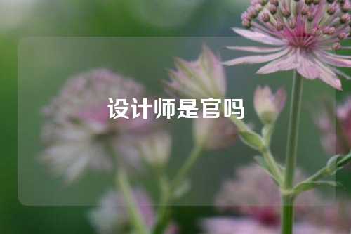 设计师是官吗