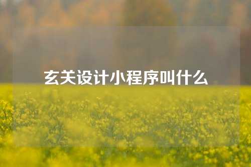 玄关设计小程序叫什么