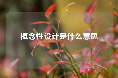 概念性设计是什么意思