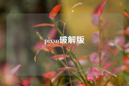 pixso破解版