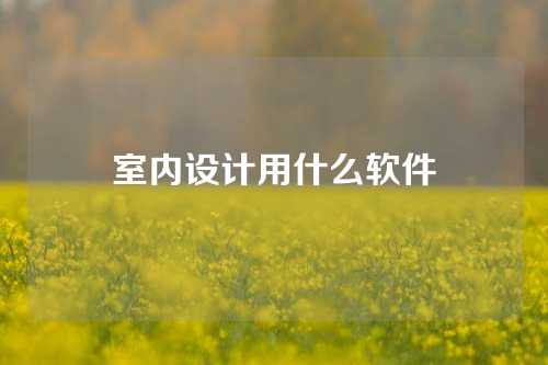 室内设计用什么软件