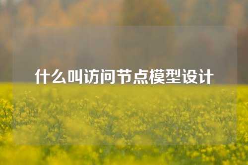 什么叫访问节点模型设计