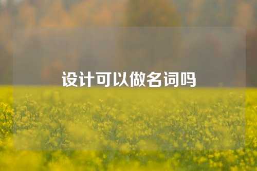 设计可以做名词吗