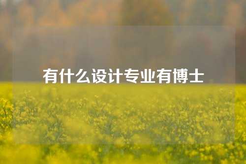 有什么设计专业有博士