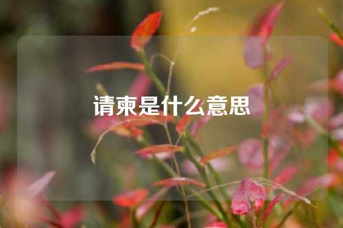 请柬是什么意思