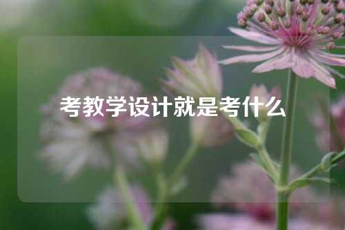 考教学设计就是考什么