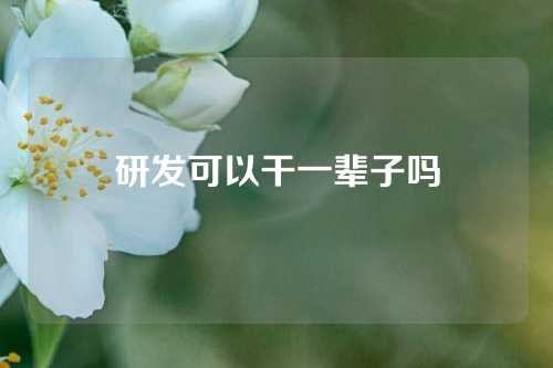 研发可以干一辈子吗