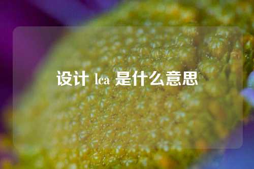 设计 lca 是什么意思