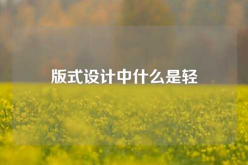 版式设计中什么是轻