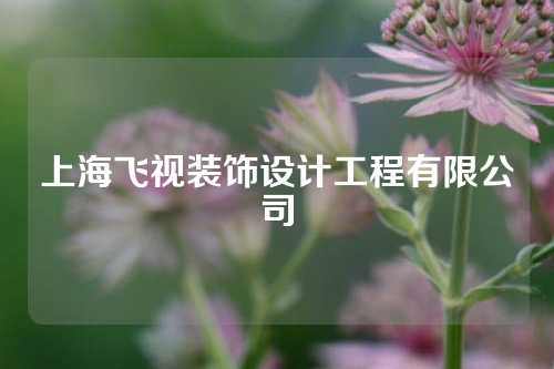 上海飞视装饰设计工程有限公司