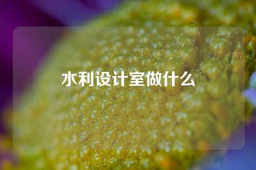 水利设计室做什么