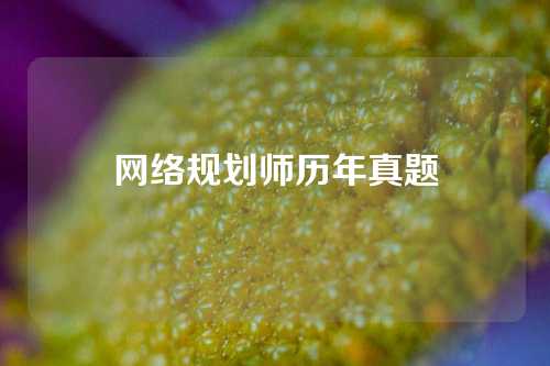 网络规划师历年真题