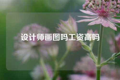 设计师画图吗工资高吗