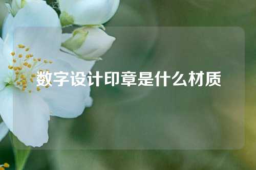 数字设计印章是什么材质