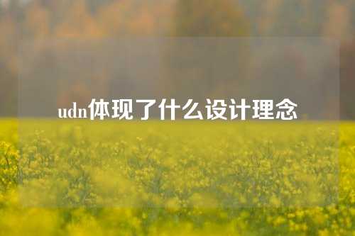 udn体现了什么设计理念