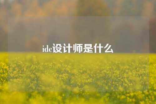 idc设计师是什么