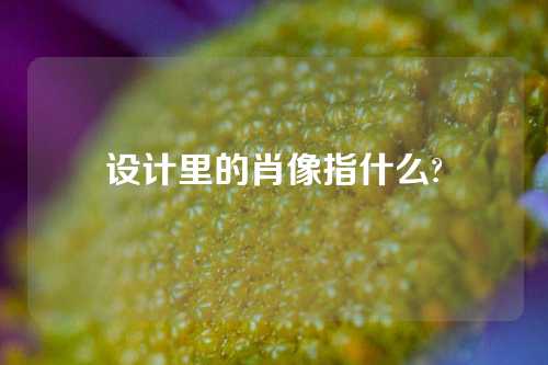 设计里的肖像指什么?