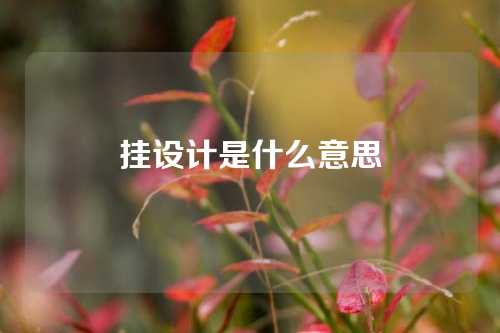 挂设计是什么意思