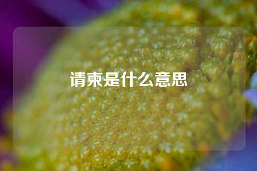 请柬是什么意思