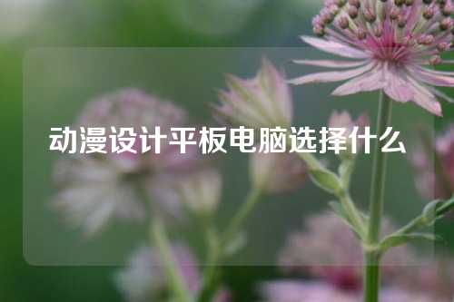 动漫设计平板电脑选择什么